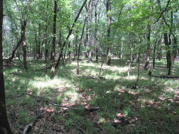 0 Vireton Rd, Krebs, OK 74554