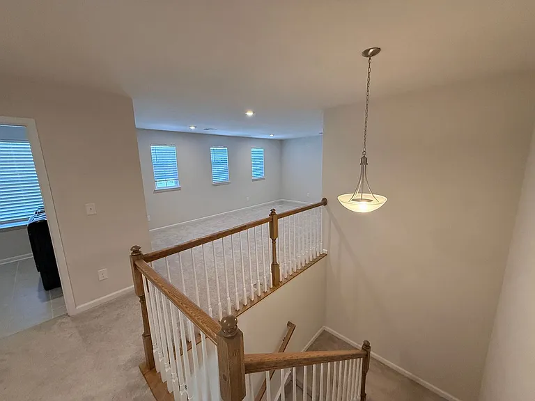 1209 Hinson Forest Rd — Photo 23