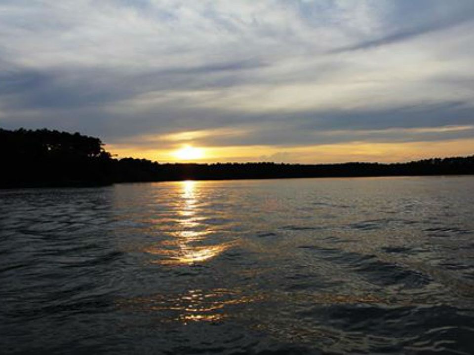 375 Edisto Lake Rd, Wagener, SC 29164 Zillow