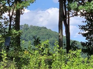 2046 Amy Creek Cir #34, Ellijay, GA 30540