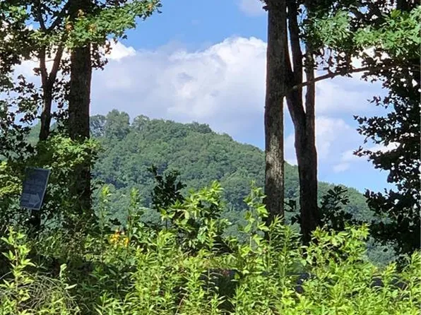 2046 Amy Creek Cir #34, Ellijay, GA 30540
