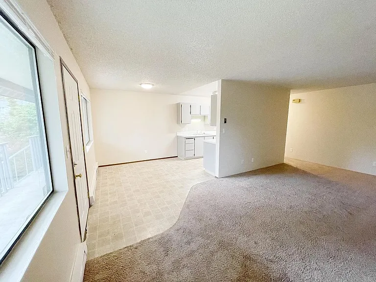 1113 Billy Frank Jr St — Photo 3