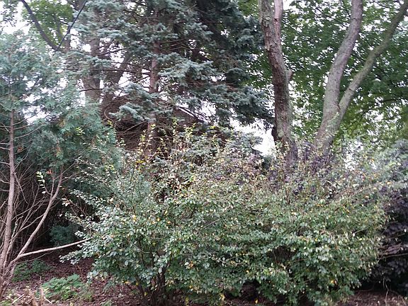 2nd image of 2261 Thorntree Ln