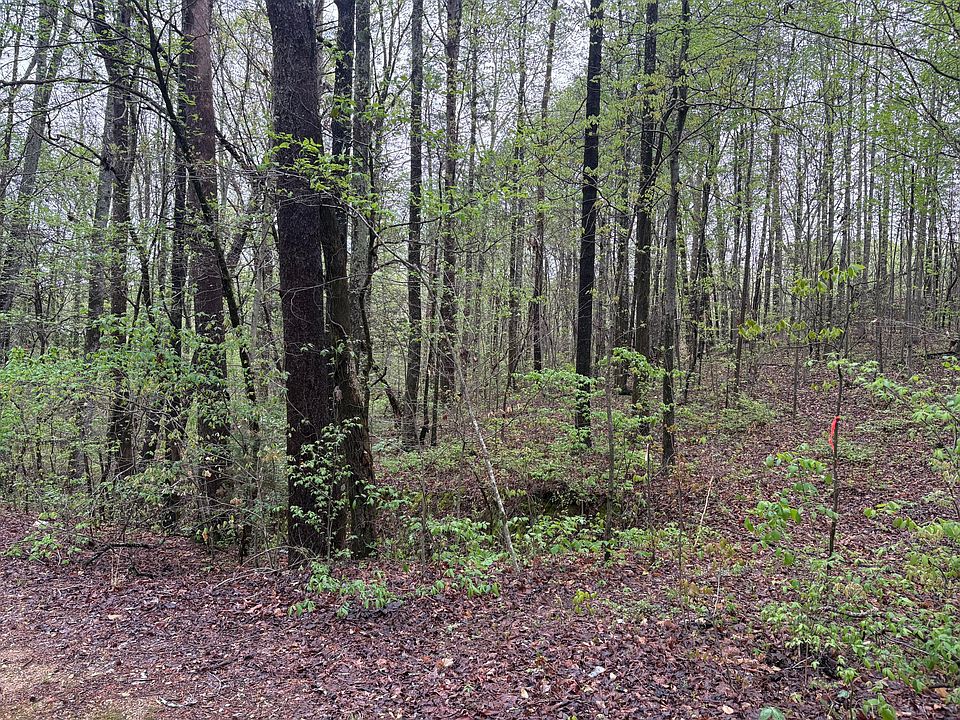 2nd image of 193 Highway Rd