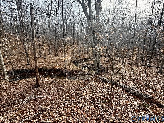 3rd image of 62 Willis Bluff Ln