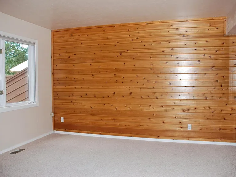 3rd Bedroom (main level)