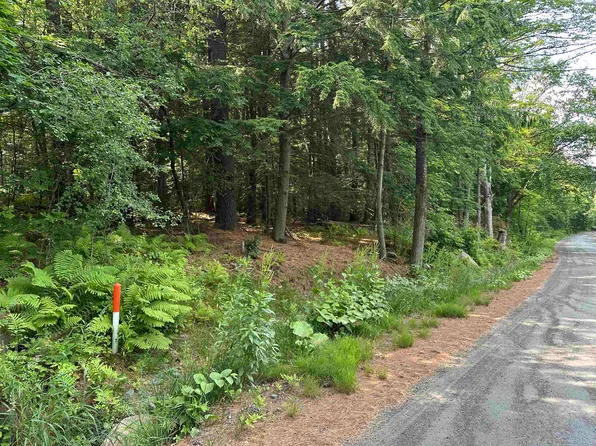 Goulden Ridge Road, Weathersfield, VT 05030
