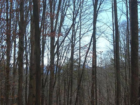 4th image of 261 McDonald Overlook Dr