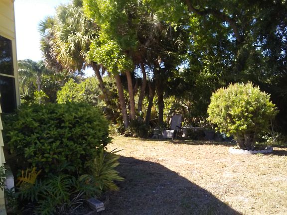 Back yard.