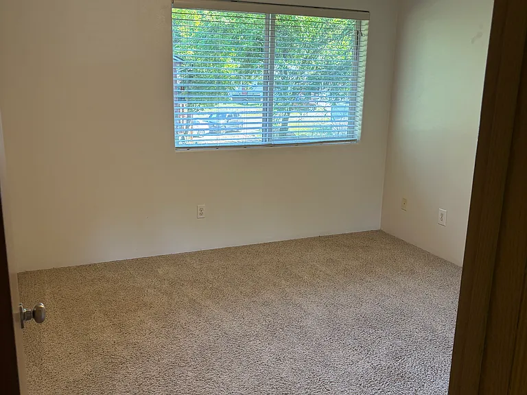 701 Birch St #3 — Photo 19