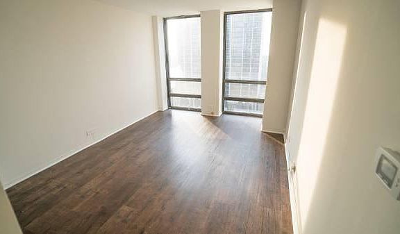 4th image of 1660 N La Salle St #1308