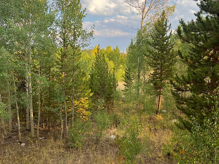 4827 Ryan Gulch Rd #4827 — Photo 25