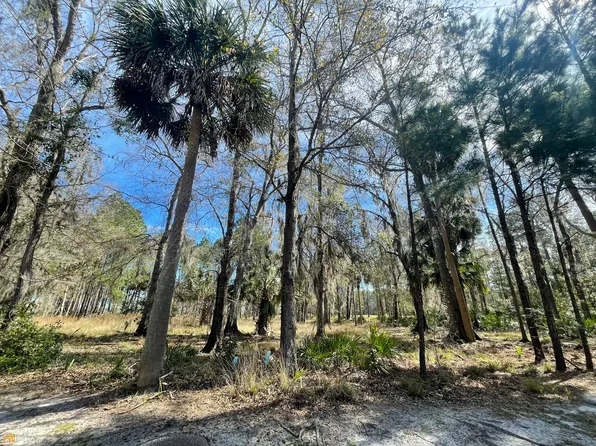 18 Fairway Oaks, Waverly, GA 31565