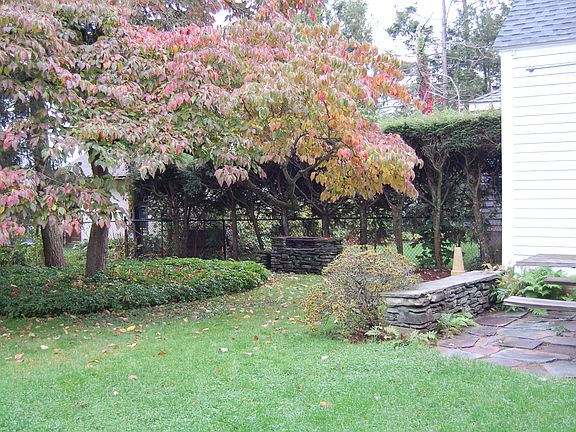 Private Backyard