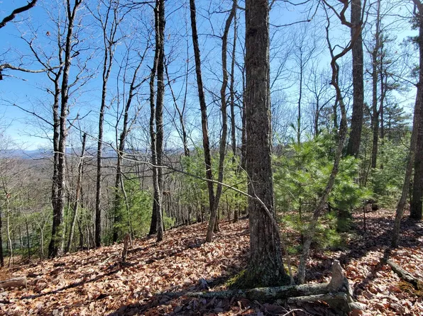 Enchanting Cir, Morganton, GA 30560