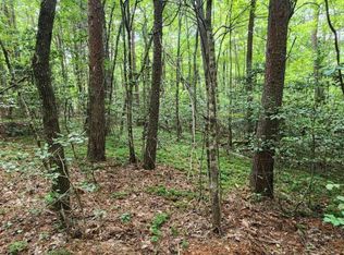 LOT 44 Old Mill Pond Rd, Mineral Bluff, GA 30559