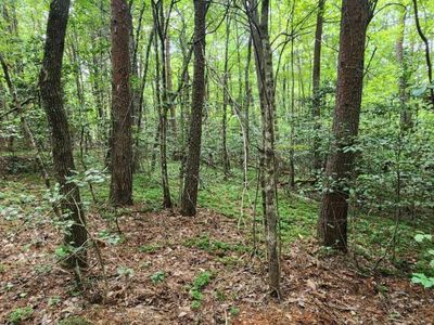 LOT 44 Old Mill Pond Rd, Mineral Bluff, GA, 30559