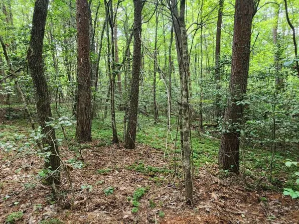 LOT 44 Old Mill Pond Rd, Mineral Bluff, GA 30559
