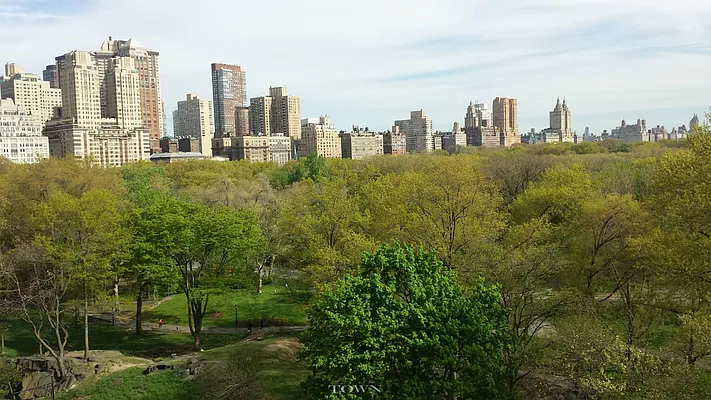 Rented by Town Residential | media 20