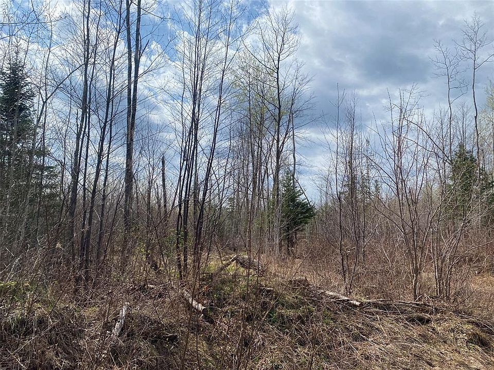 1st image of Near Wilson Lake Road