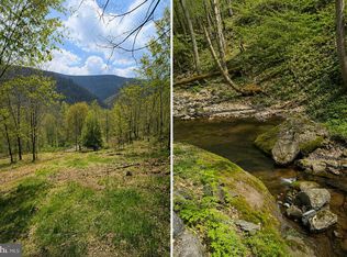 30.82 Straders Run Rd #A, Seneca Rocks, WV 26884