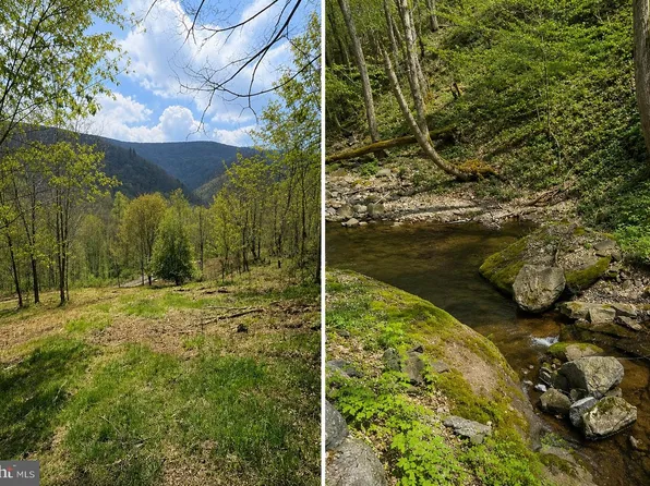 30.82 Straders Run Rd #A, Seneca Rocks, WV 26884