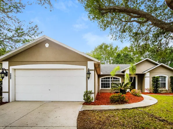 605 Cherry Laurel St, Minneola, FL 34715