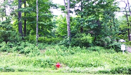 View from Warren Woods Road