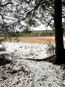 332 Gleason Falls Road Map 5 lot 87 and map 8 lot 146, Hillsborough, NH, 03244