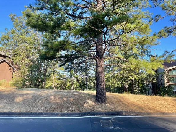 1140 Sandalwood Dr, Murphys, CA 95247