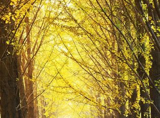 1449 Swann St NW, Washington, DC 20009