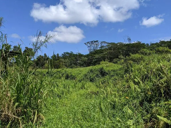 Lava Tree Lot 3, Pahoa, HI 96778