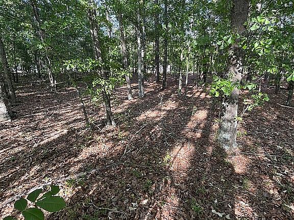 4th image of LOT 3 Persimmons Dr