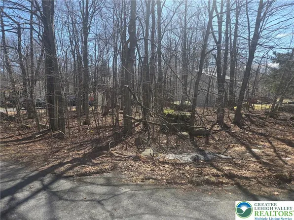 Chipmunk Dr, Tobyhanna, PA 18466