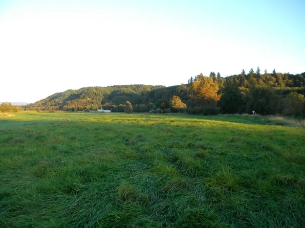 534 Wenzel Slough Rd, Elma, WA 98541