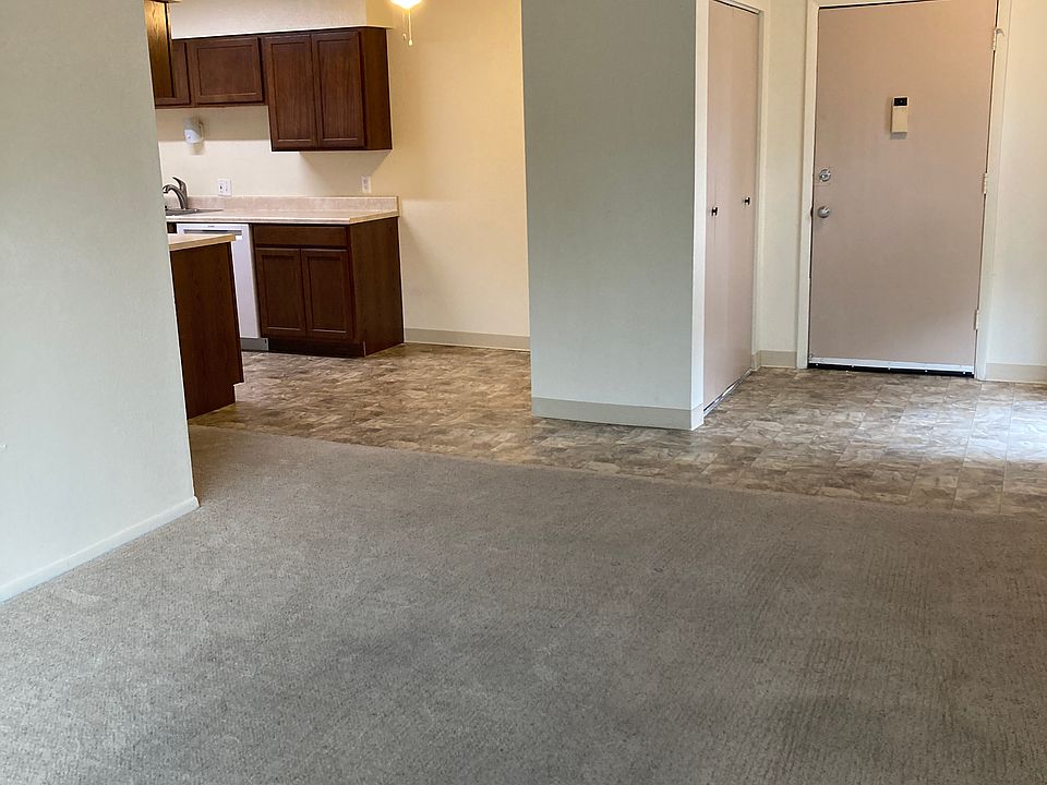 Living room / Entry door