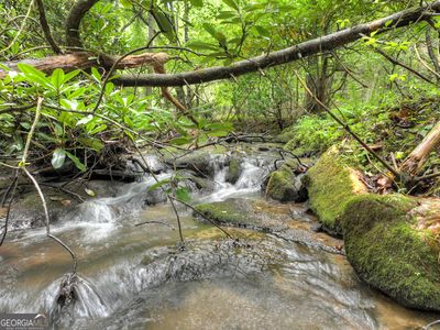 LOT 44 Synacia Dr, Mineral Bluff, GA, 30559