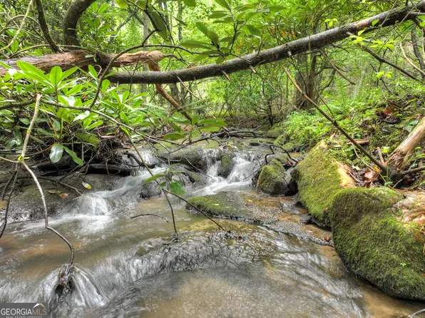 LOT 44 Synacia Dr, Mineral Bluff, GA 30559