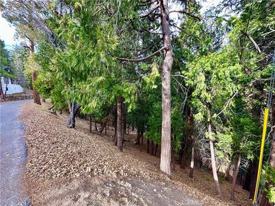 291 Hillside Rd #29, Lake Arrowhead, CA, 92352
