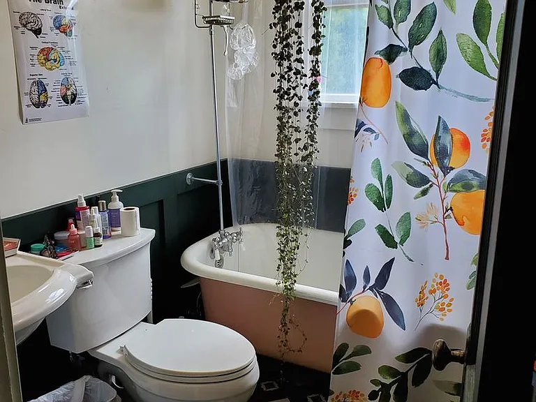 Laurel220 (KC-JF) — Photo 8
