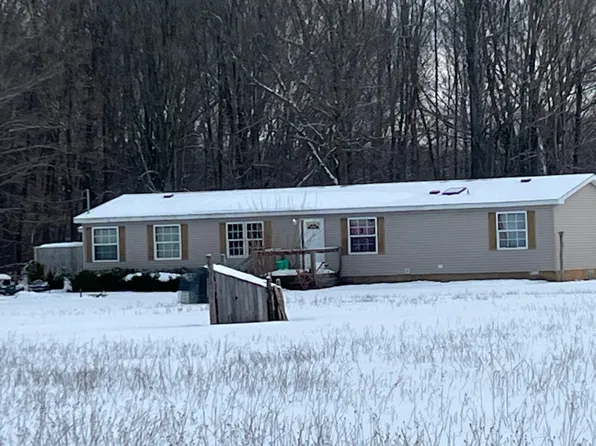 11520 S Fitzgerald Ave, Grant, MI 49327