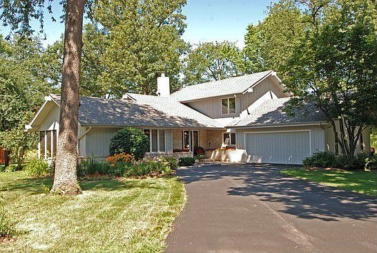 FRONT VIEW OF TOWERING TREES FRAMING RUSTIC CONTEMPORARY
