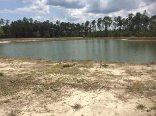 Trail Ridge Rd, Middleburg, FL 32068