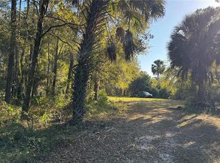 17221 SE 95th Street Rd, Ocklawaha, FL 32179