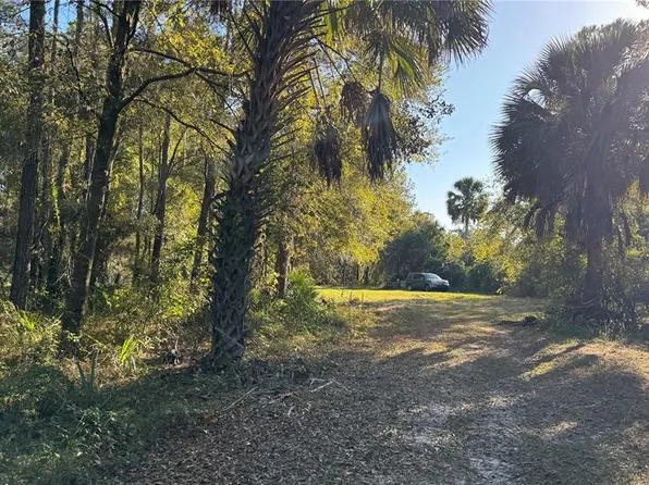 17221 SE 95th Street Rd, Ocklawaha, FL 32179