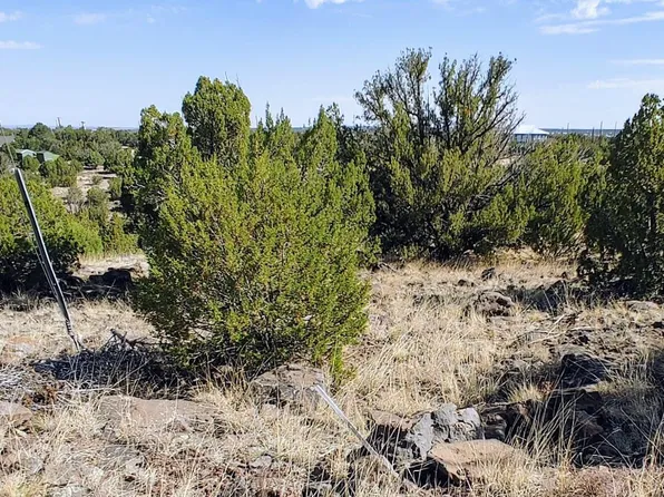 1794 Queen Creek Pl, Show Low, AZ 85901