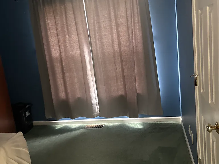 4617 Honeysuckle Ln — Photo 6