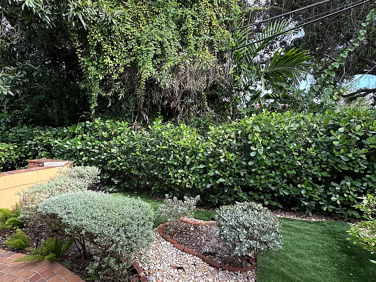 1028 Malaga Ave — Photo 13