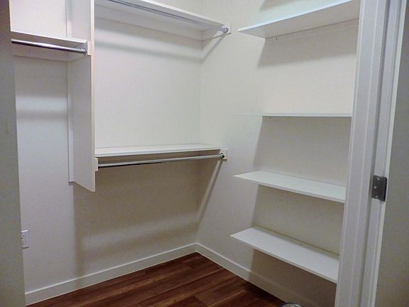 Master large walk-in closet
