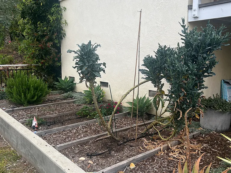 616 Chiquita Rd — Photo 10